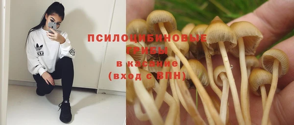 мдпв Балабаново
