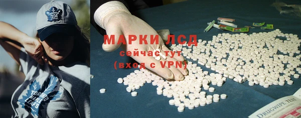СК Покачи